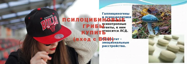амф Аркадак