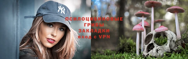 меф Алексин
