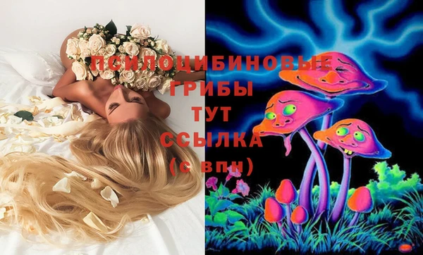 амф Аркадак