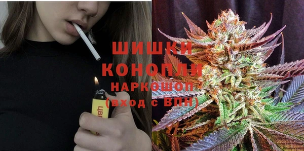 спайс Алзамай