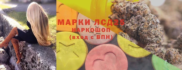 спайс Алзамай