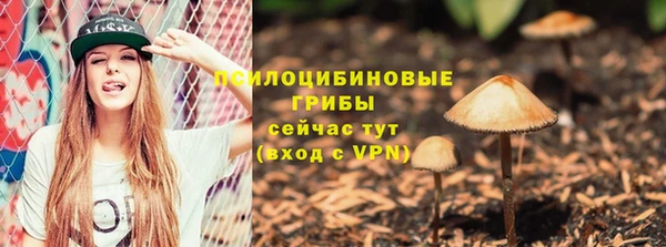 кокаин Гусь-Хрустальный