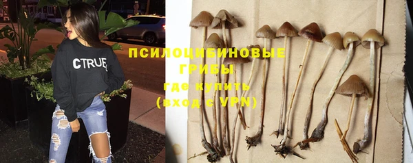 индика Армянск