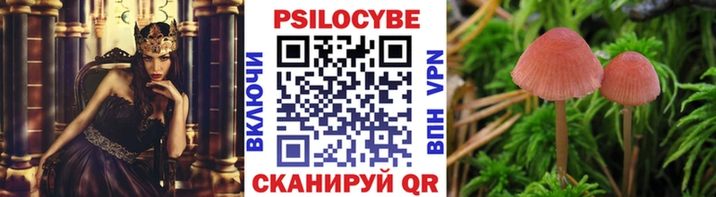 как найти   ссылка на мегу вход  Псилоцибиновые грибы Psilocybe  Рыбинск 